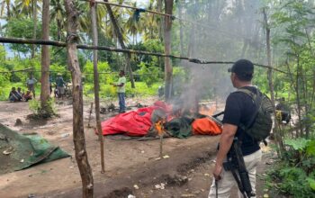 Gerebek Judi Sabung Ayam, Polsek Sape Sita 4 Ekor Ayam Jago dan Bakar Gelanggang Aduan