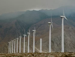 Potensi Energi Angin di Pesisir: Mendorong Pembangunan Berkelanjutan yang Ramah Lingkungan