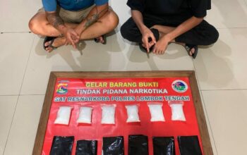 Polres Loteng Bongkar Jaringan Gelap Narkoba Lintas Provinsi.