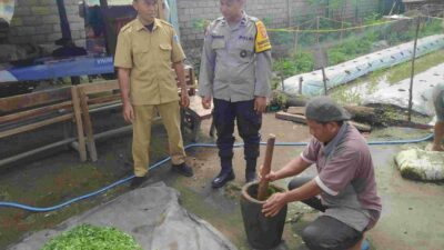 Pestisida Alami, Solusi Hemat dan Sehat untuk Petani Kediri