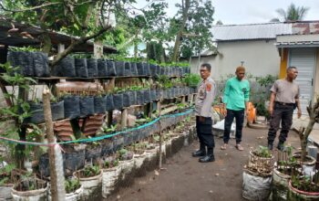 Polres Tinjau Pekarangan Lahan Bergizi Milik Warga di Pringgarata.