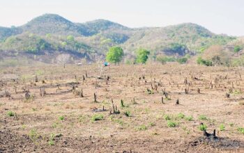 Kerusakan Lingkungan Dampak Tambang dan Illegal Logging di NTB