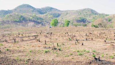 Kerusakan Lingkungan Dampak Tambang dan Illegal Logging di NTB