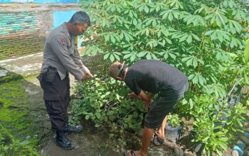 Bhabinkamtibmas Dorotangga Dukung Ketahanan Pangan Nasional melalui Pendampingan Warga