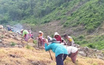 Dukung Program Asta Cita Presiden RI, Bhabinkabtibmas Polres Bima Kota Tanam Jagung dan Ubi untuk Ketahanan Pangan