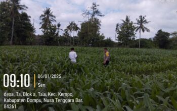 Polri Dukung Ketahanan Pangan Nasional: Bhabinkamtibmas Desa Ta’a Pantau Pengolahan Lahan Pertanian