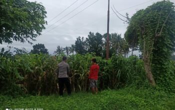 Polri Dukung Ketahanan Pangan: BKTM Desa Jambu Pantau Pengolahan Lahan Pertanian