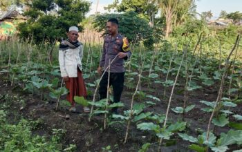 Polri Dukung Ketahanan Pangan, Pantau Persiapan Lahan Warga di Nanga Tumpu