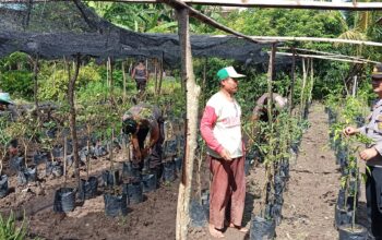 Dukung Program Ketahanan Pangan Nasional, Polsek Jereweh kembangkan pekarangan dengan tanaman bergizi