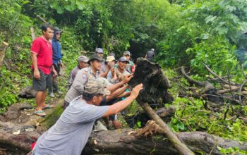 Bhabinkamtibmas Desa Sekongkang Atas Laksanakan Gotong Royong Perbaikan Saluran Irigasi yang Jebol