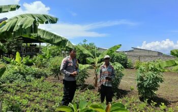 Bhabinkamtibmas Desa Hu’u Laksanakan Pemantauan Lahan Pertanian Warga untuk Mendukung Ketahanan Pangan Nasional