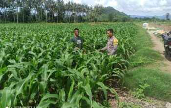 Sinergi Polri dan Masyarakat dalam Pengelolaan Lahan Pertanian Menuju Ketahanan Pangan