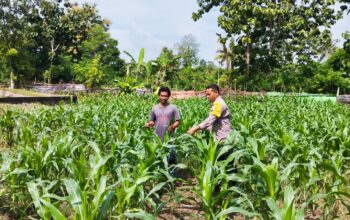 Pemantauan Lahan Pertanian untuk Ketahanan Pangan Nasional, Harapan Menuju Indonesia Emas 2045