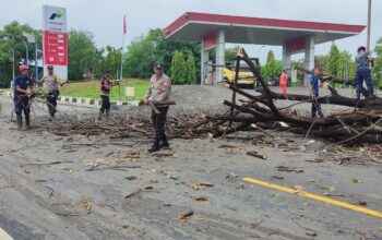 Pohon Tumbang Tutupi Jalan, Polsek Kayangan bersama Damkar Respon Cepat