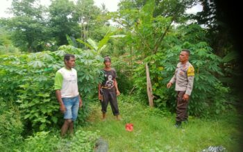 Kehadiran BKTM di Tengah Petani Desa Woko, Dorong Semangat Inovasi