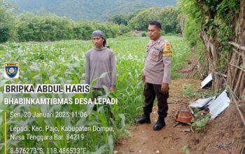 BKTM Desa Lepadi Pantau Lahan Jagung Warga untuk Dukung Program Ketahanan Pangan Nasional Menuju Indonesia Emas 2025