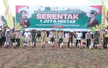 Dukung Program Swasembada Pangan, Kapolda NTB Pimpin Penanaman Jagung Serentak di Lombok Timur