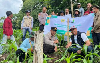 Polsek Wawo Laksanakan Kegiatan Penghijauan dan Penanaman Bibit Buah