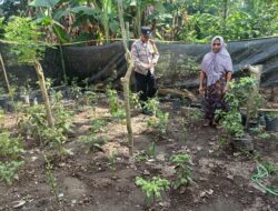 Bhabinkamtibmas Babussalam Aktif Dukung Ketahanan Pangan di Lombok Barat