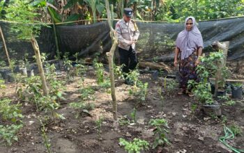 Sinergi Polri dan Masyarakat: Bhabinkamtibmas Babussalam Gerakkan Ketahanan Pangan Lokal