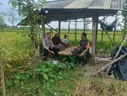 Sinergi TNI-Polri di Lombok: Bhabinkamtibmas dan Babinsa Gencarkan Ketahanan Pangan Desa