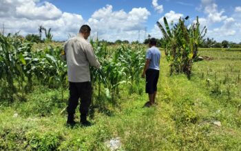 Bhabinkamtibmas Labuapi Dampingi Petani, Optimalkan Lahan Kosong untuk Ketahanan Pangan Nasional