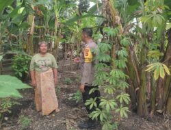 Bhabinkamtibmas Dukung Ketahanan Pangan, Warga Makin Semangat Bertani!