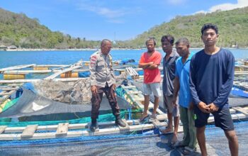 Dukung Ketahanan Pangan, Polsek Sekotong Terjun ke Budidaya Ikan Gili Gede