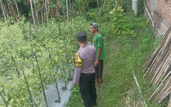 Polres Loteng Terus Kampanyekan Pekarangan Bergizi di Masyarakat.