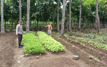 Bhabinkamtibmas Polsek Buer Sambangi Warga, Dukung Ketahanan Pangan Nasional