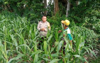 swasembada, pangan, bhabinkamtibmas, lombok, petani, pertanian, ketahanan