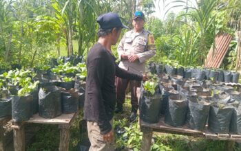 Ketahanan Pangan Kuat: Inisiatif Lahan Bergizi di Lombok Barat