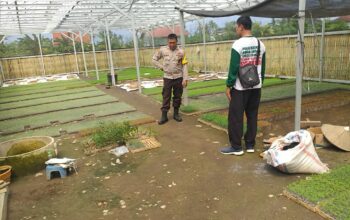 Ketahanan Pangan di Lombok Barat, Polisi Gandeng Petani Sukses Manfaatkan Pekarangan