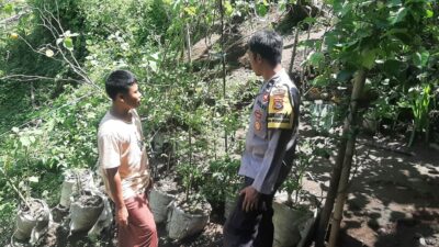 Bhabinkamtibmas Dukung Pekarangan Bergizi, Warga Bengkaung Antusias!