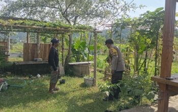 Polsek Batulayar Kawal Lahan Bergizi, Dukung Ketahanan Pangan Lombok Barat