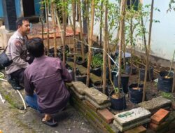 Polsek Labuapi Aktif Dukung Ketahanan Pangan dengan Kunjungan Rumah Produktif