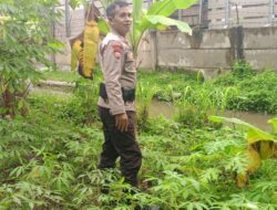 Polsek Labuapi Dukung Ketahanan Pangan, Bhabinkamtibmas Terjun ke Desa