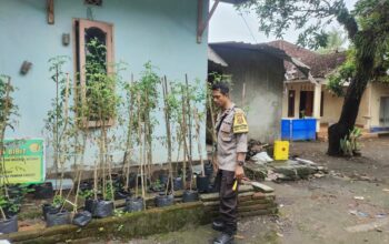 Warga Bengkel Sulap Pekarangan Jadi Sumber Pangan Bergizi