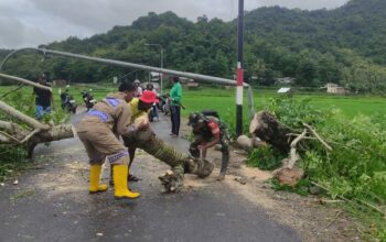 Bhabinkamtibmas Desa Manemeng Bersama Stakeholder Terkait Evakuasi Pohon Tumbang