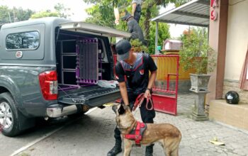 Polda NTB Kerahkan Polmas K9 berkemapuan SAR untuk Bantu Pencarian Korban Banjir di Bima