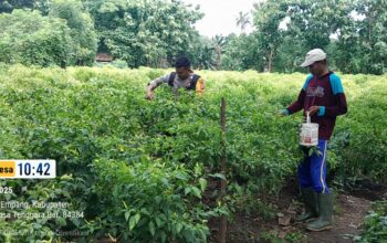 Bhabinkamtibmas Desa Jotang Laksanakan Sambang dan Pembinaan Petani Untuk Mendukung Ketahanan Pangan Nasional