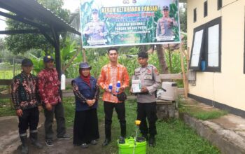 Polsek Pemenang Bersama Distan Gelar Penyemprotan Tanaman Jagung