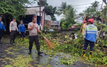 Sebuah Dahan Pohon Tumbang Timpa Bangunan dan Warga