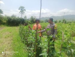 Polri Pantau Lahan Pertanian di Desa Jambu untuk Dukung Ketahanan Pangan Nasional
