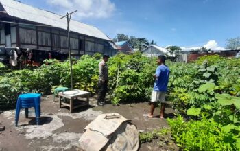 Polri Dukung Ketahanan Pangan, Bhabinkamtibmas Desa Daha Dampingi Warga Tanam Sayuran