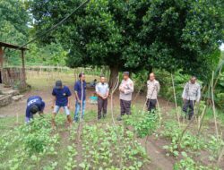 Sat Binmas Polres Bima Kota Laksanakan Pengecekan Pekarangan Pangan Bergizi (P2B) di Rutan Raba