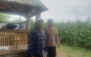 Polsek Hu’u Pantau Pengolahan Lahan Pertanian Dukung Ketahanan Pangan Nasional