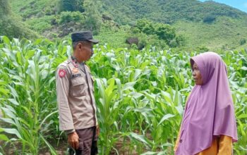 Polsek Dompu Lakukan Pemantauan Lahan Pertanian dalam Mendukung Ketahanan Pangan Nasional