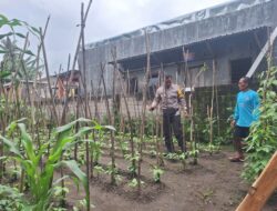 Bhabinkamtibmas Desa Luk, Berikan Motivasi Warga Manfaatkan Pekarangan Kosong Dukung Ketahanan Pangan