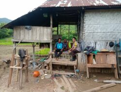 Dorong Ketahanan Pangan Nasional dan Swasembada, Bhabinkamtibmas Polsek Langgudu Cek Progres Tanaman Padi di Desa Binaan